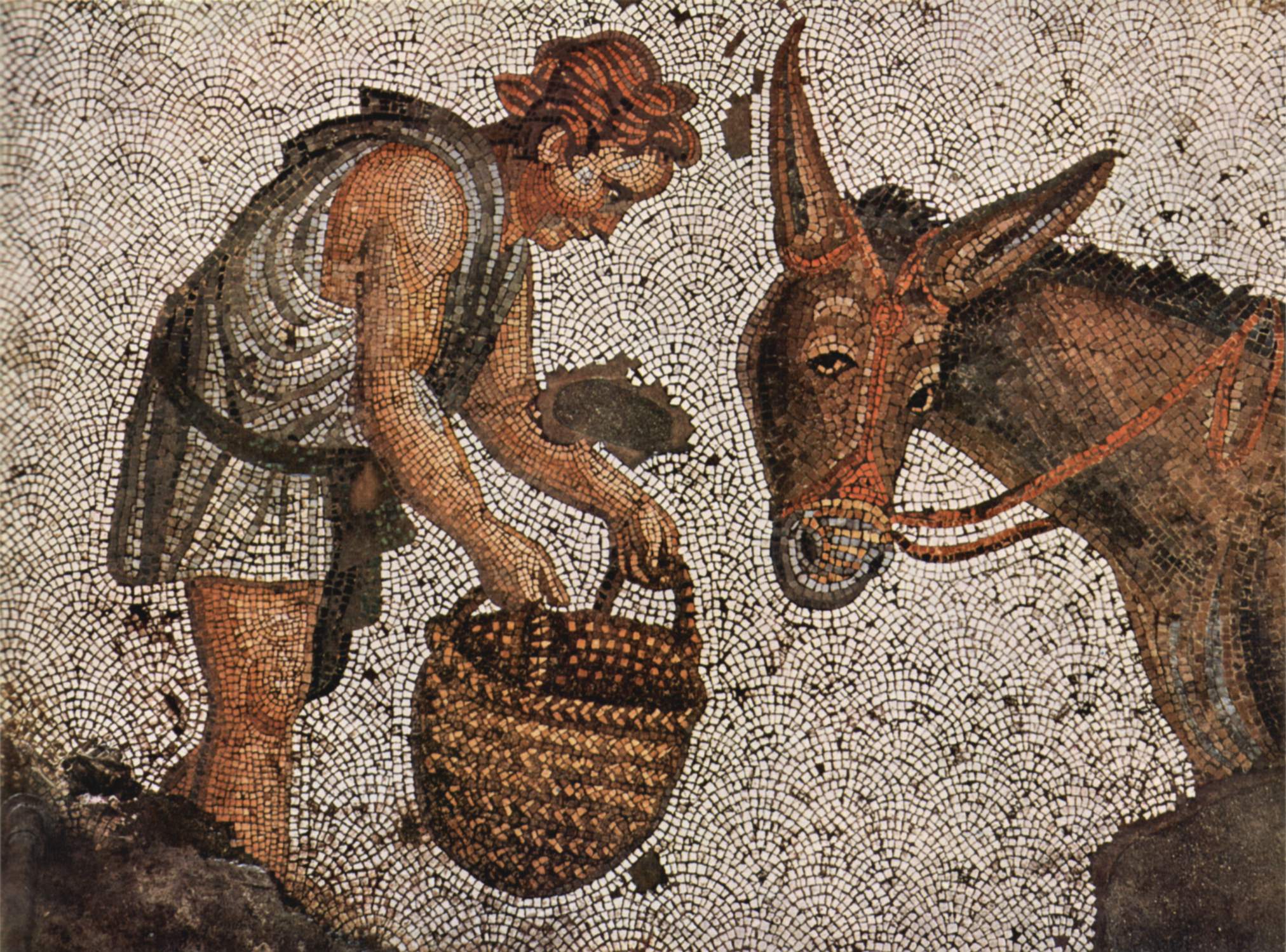 Paul Sheridan | Golden Ass | Apuleius